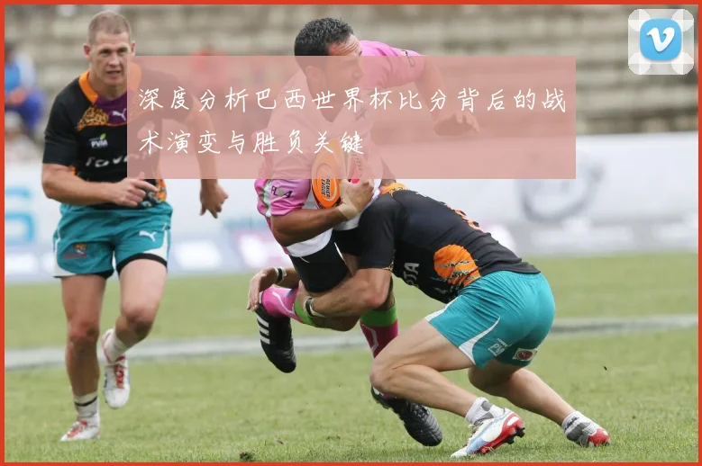 深度分析巴西世界杯比分背后的战术演变与胜负关键