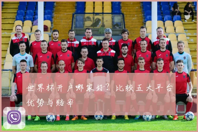 世界杯开户哪家好？比较五大平台优势与赔率