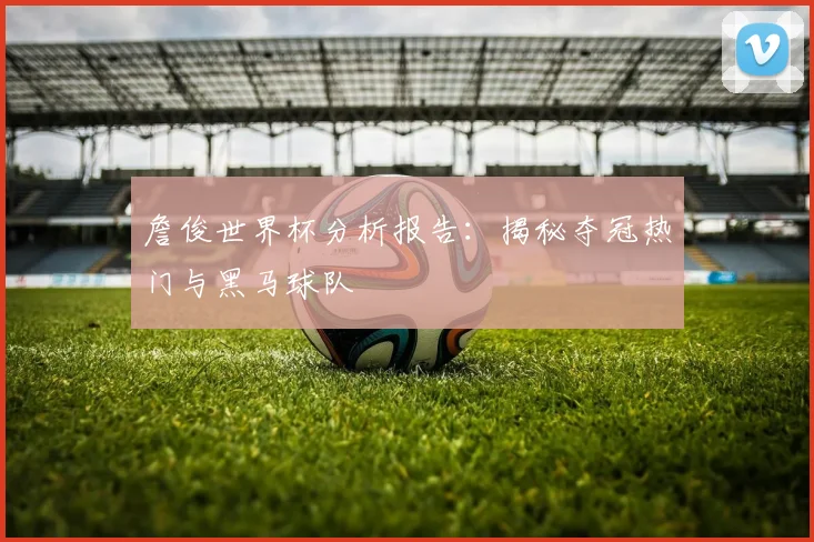 詹俊世界杯分析报告：揭秘夺冠热门与黑马球队